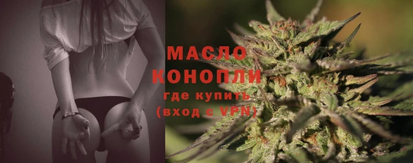 сатива Волосово