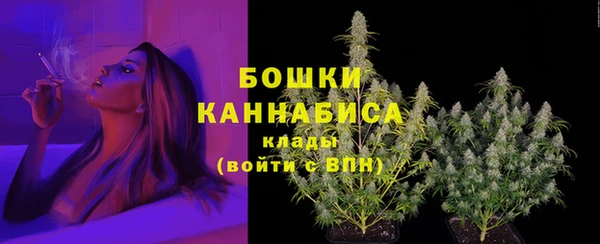 амф Верхний Тагил