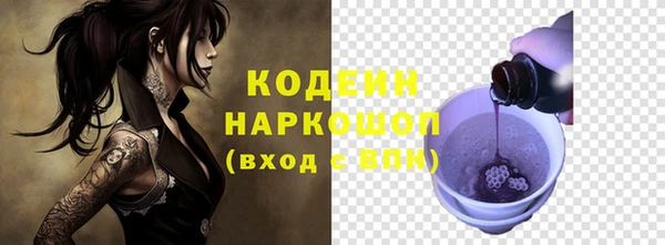 амф Верхний Тагил