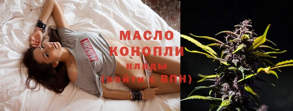 амф Верхний Тагил