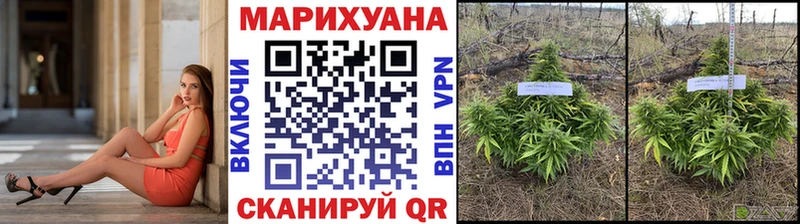 Купить  Коряжма  Бошки Шишки OG Kush 